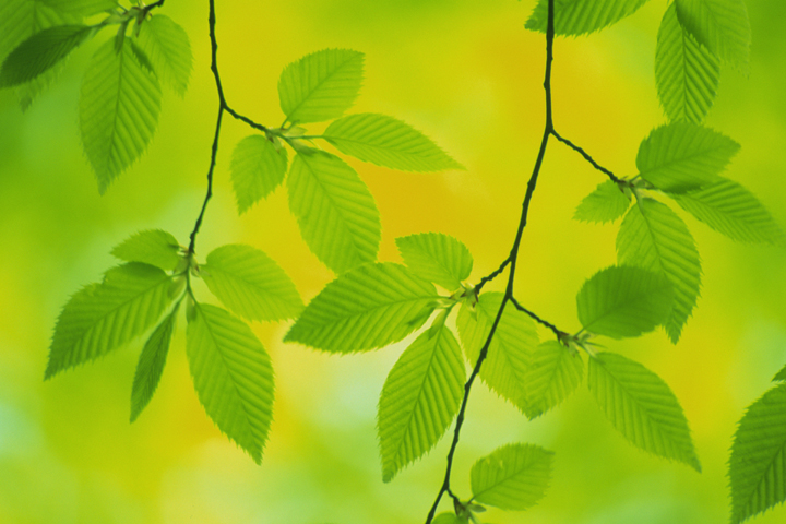 御見積もり無料の背景